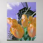 De oranje Druk van het Poster van de Windmolen van