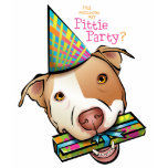 De Partij van Pittie