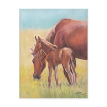 De Prentbriefkaar van de Kunst van het Paard van h Wens Kaart
