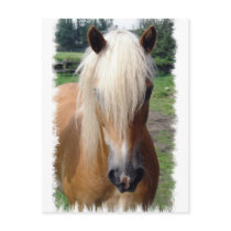 De Prentbriefkaar van het Paard van het Kwart van 