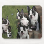 De Puppy van Boston Terrier muismatten