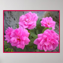 De roze-Affiche van de Dag van de valentijnskaart Plaat