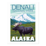 De Scène van Amerikaanse elanden - Denali Nationaa Wenskaart