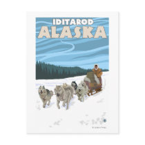 De Scène van Sledding van de hond - Iditarod, Alas