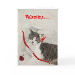 De schadelijke Valentijnskaart van de Kat van de C