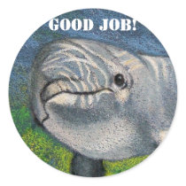 de_stickers_van_de_dolfijn_goede_baan-p217843198206440864en7l1_210.jpg