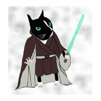 De t-shirt van het jedijonge geitje van de kat
