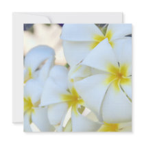 De tropische Uitnodiging van de Cascade Plumeria