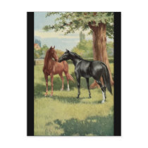 De vintage Hengst van de Merrie van het Paard Ruit