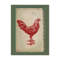 De vintage Rode Sjofele Elegante Kip Grunge van de