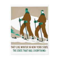 De winter in de Staat van New York