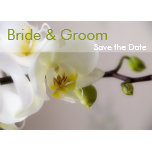 Save the Date Kaarten