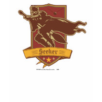 De Zoeker Dadge van Quidditch