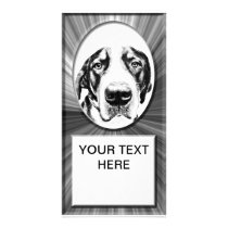 DE ZWITSERSE HOND VAN DE BERG FOTO KAART