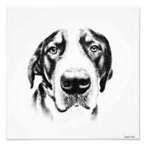 DE ZWITSERSE HOND VAN DE BERG FOTO AFDRUK