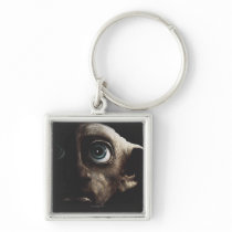 Dodelijk zegent - Dobby