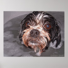 doorweekte_van_een_hond_poster-r8432bb9e2ba843b88a12bfaf88bacce4_zqj_216.jpg