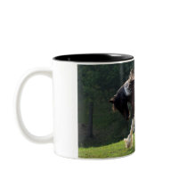 Dravende Zigeuner Vanner Koffie Bekers