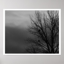 Eagles in Boom Poster