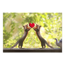 Eekhoorns met Hart Foto Print