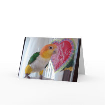 Een Caique Valentijnskaart
