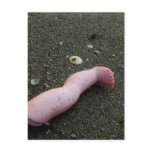 Gebroken de poppenbeen van het strand verontreinig