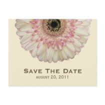 Gerbera Daisy Save de Prentbriefkaar van de Datum Wens Kaart