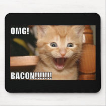 grappige kat