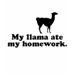 Grappige Lama