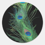 Groene Veren met Zwarte Ronde Sticker