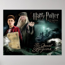 Harry Potter en Dumbledore Poster
