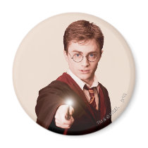 Harry Potter Points Wand