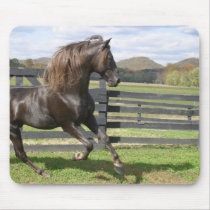 Hengst