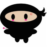 Het Beeldhouwwerk van de Foto van Ninja van Kawaii Acryl Uitsnede