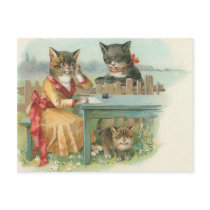 het briefkaart van de kattenfamilie