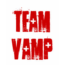 Het Flirt van het team