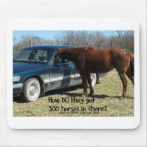 Het grappige Paard van Paard "300 "