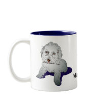 Het Leuke Puppy van Maltipoo