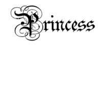 Het mooie Overhemd van de Prinses