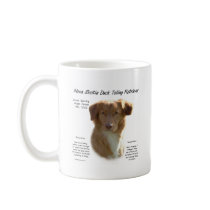 Het Ontwerp van de Geschiedenis van de Retriever v