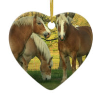 Het Ornament van het Paard van het Ontwerp van Pal