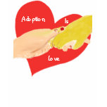 Het overhemd, Goedkeuring is het Hart van de Liefd