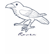 Het Overhemd van de raaf Tee Shirt