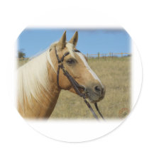 Het Paard 9R015D-184 van Palomino Stickers