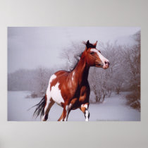 Het Paard van de verf in Sneeuw, Poster