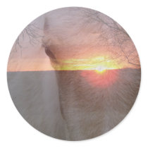 Het Paard van Palomino in Zonsopgang