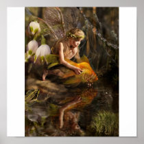 Het Poster van de Fee van het water