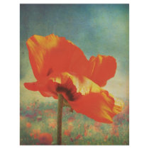 Het Poster van de papaver
