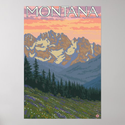 Het Poster van de Reis van FlowersMontanaVintage v