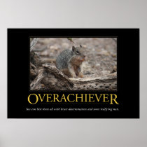 Het Poster van Demotivational: Overachiever